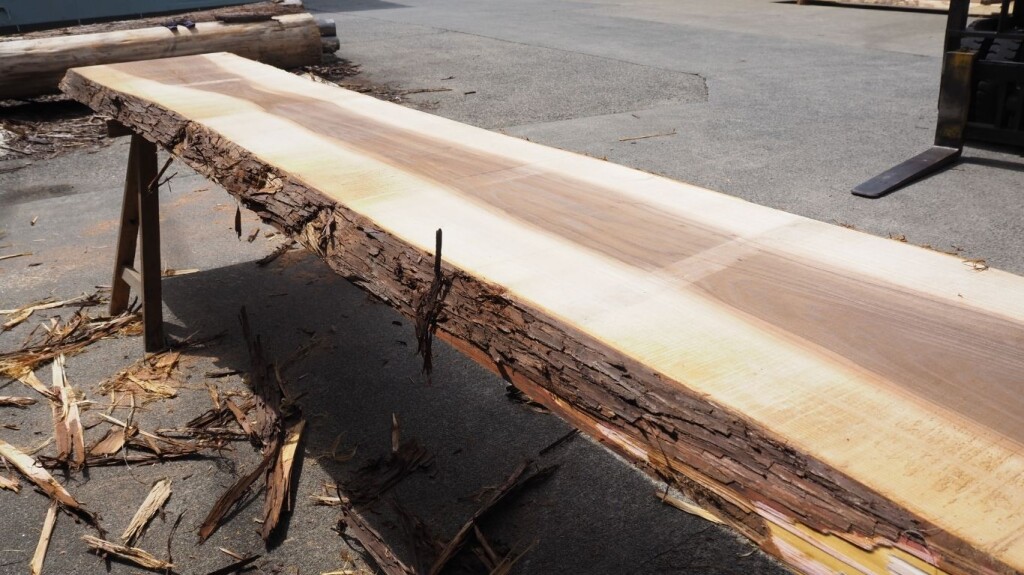 名称未設定のデザイン - 2025-04-09T110727.043