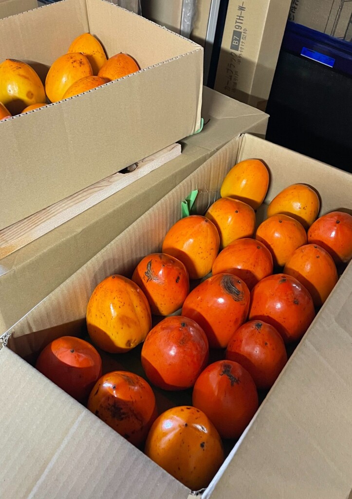 名称未設定のデザイン - 2025-11-13T160935.179