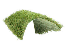 イージーペット